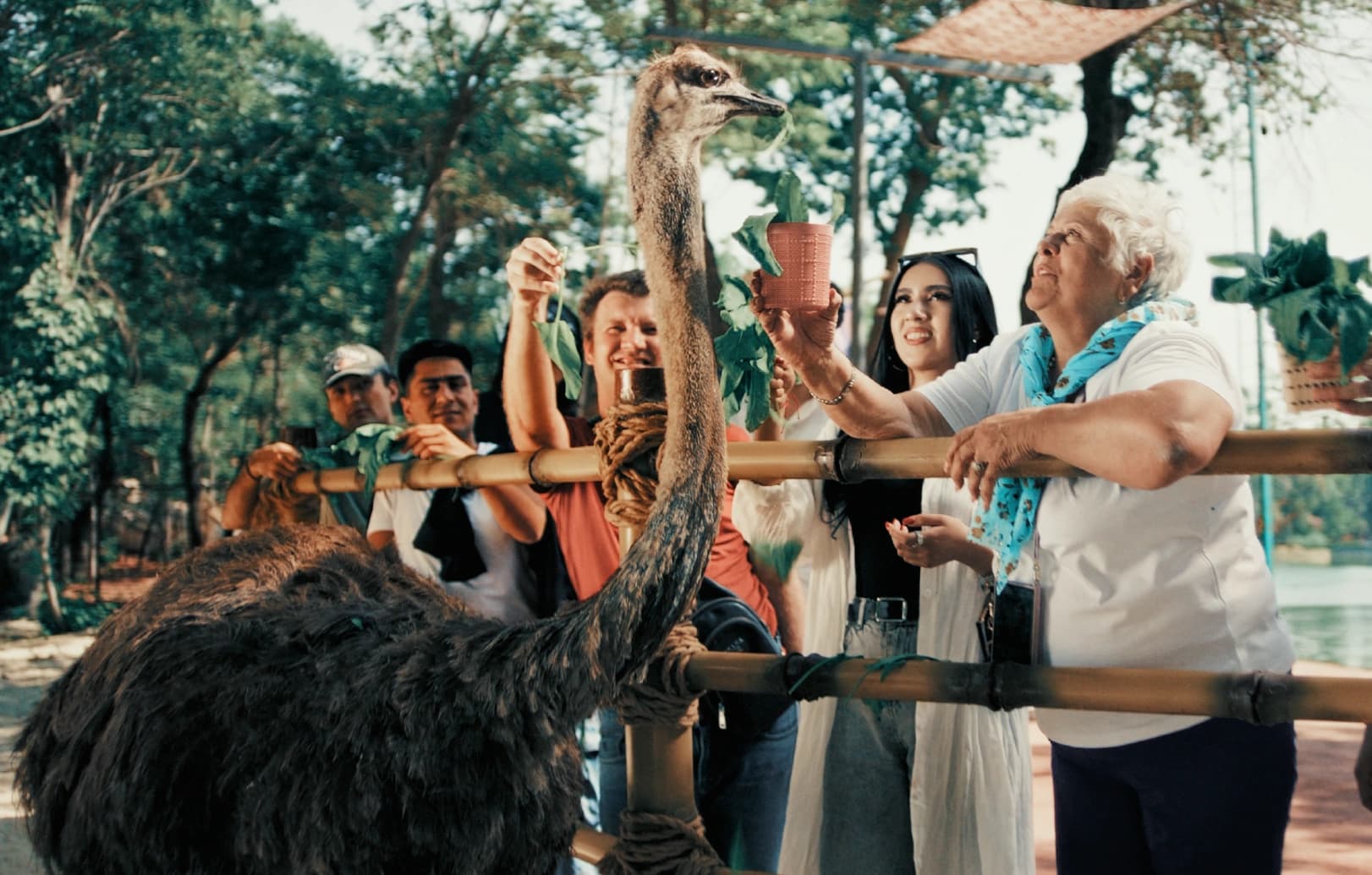 ef8cbbf4a5d0302a9743031822fb2cc2f19182f1